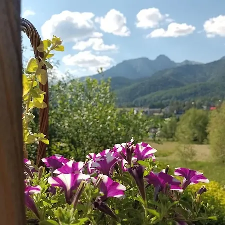 Hotel Szalas U Szpunara
